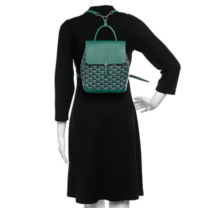 Goyard Goyardine Calfskin Mini Alpin Backpack Green 2 of 9