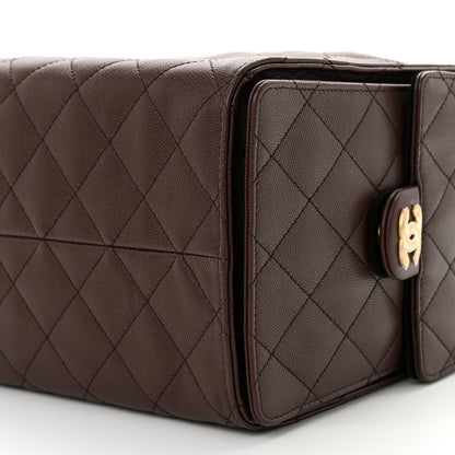 Chanel Caviar Quilted Medium Chanel 25 Handbag Dark Brown 11 of 12