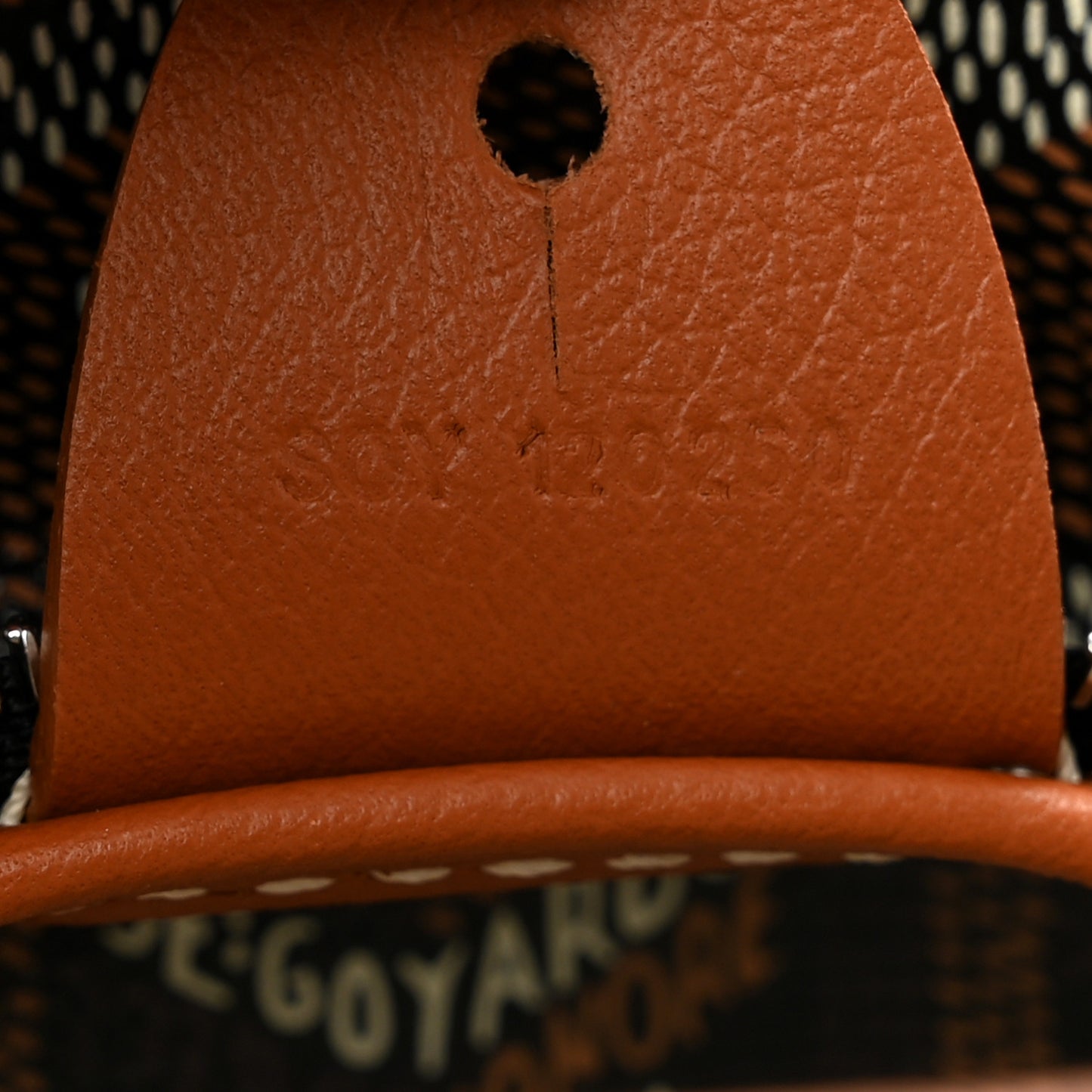 Goyardine Artois PM Black Gold