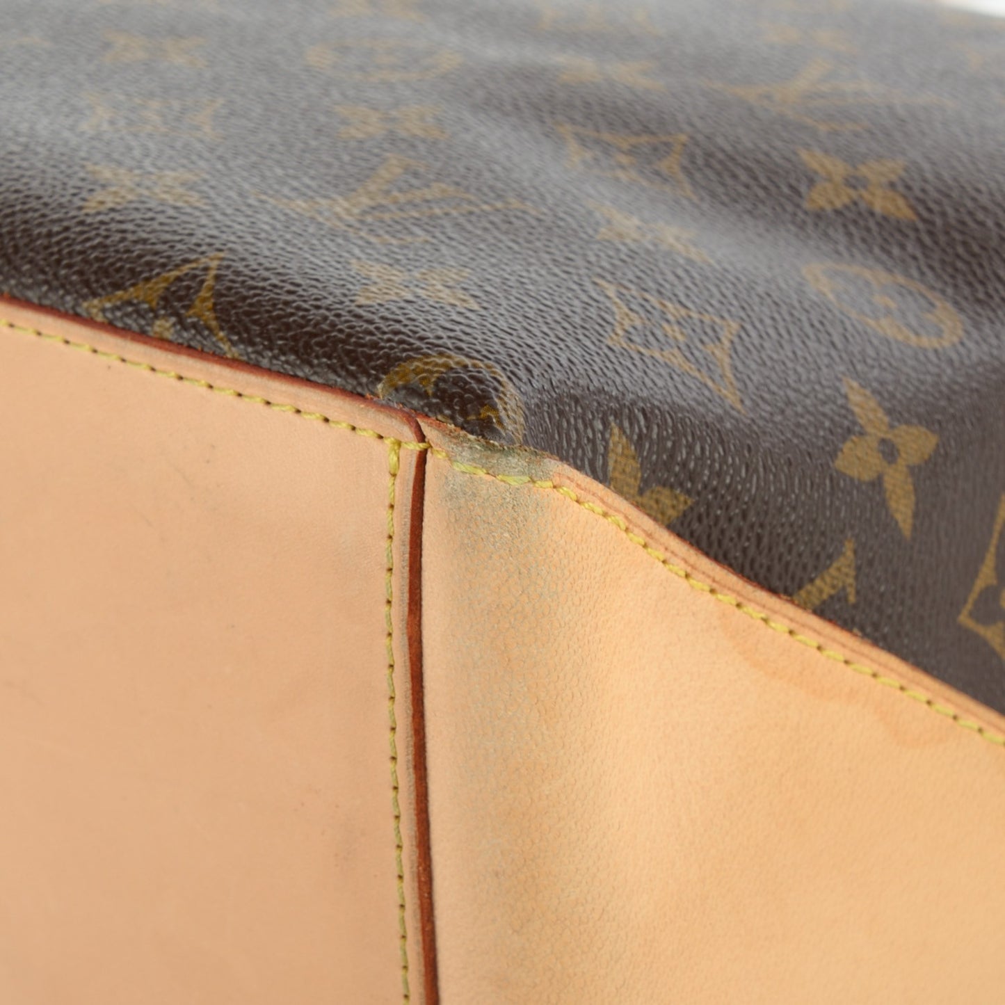 Monogram Cabas Mezzo