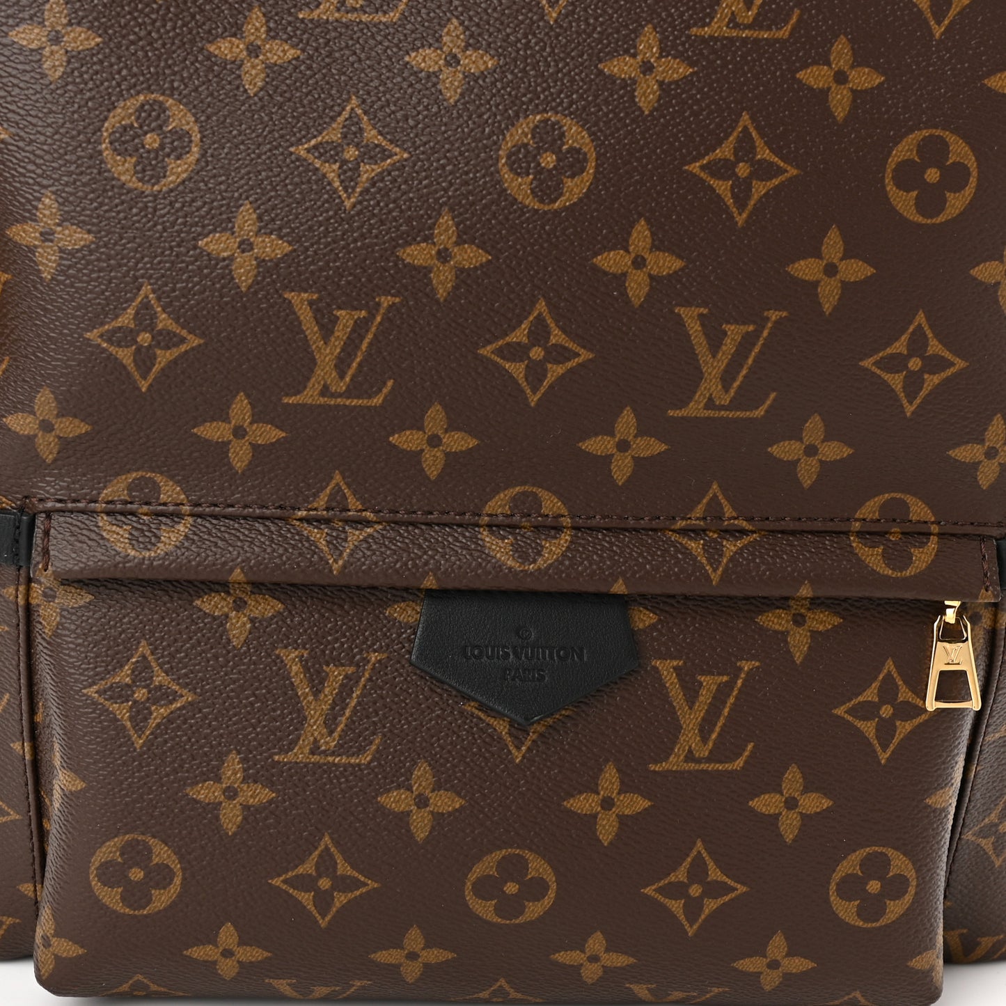 Monogram Palm Springs Backpack MM