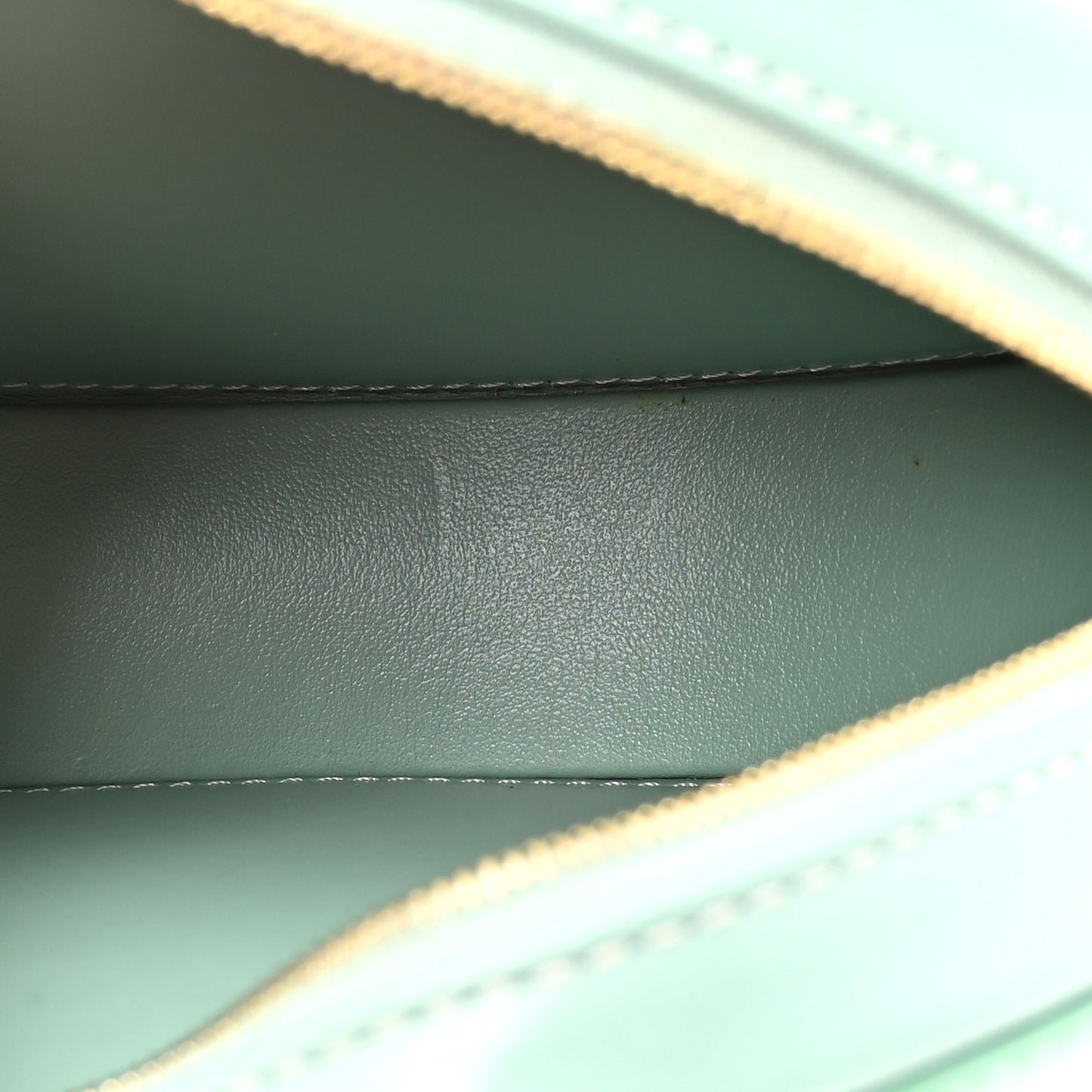 Smooth Calfskin Cuir Small Triomphe Oval Crossbody Purse Ice Mint