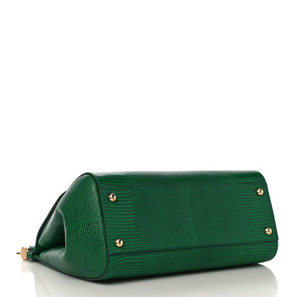 Dolce & Gabbana Stampa Iguana Crystal Medium Miss Sicily Satchel Green 4 of 10