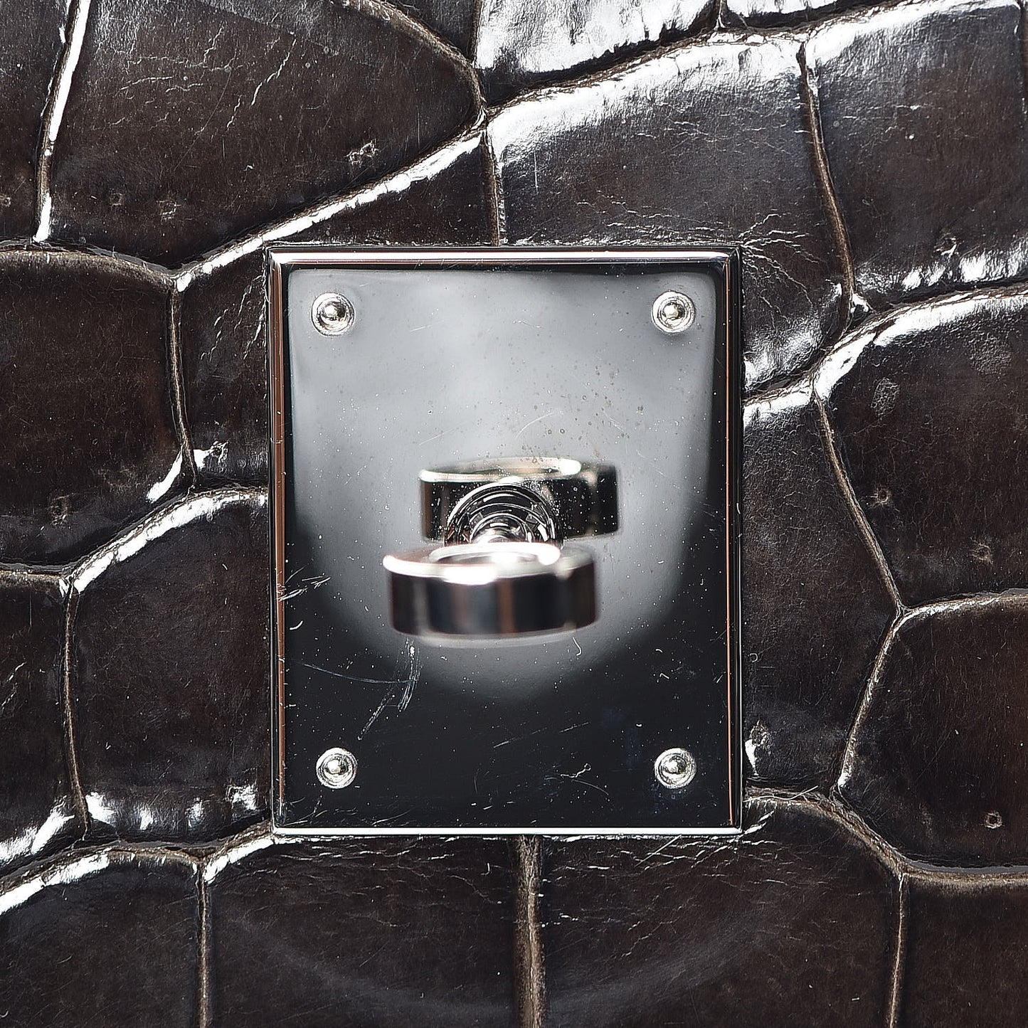 Shiny Porosus Crocodile Birkin 35 Graphite