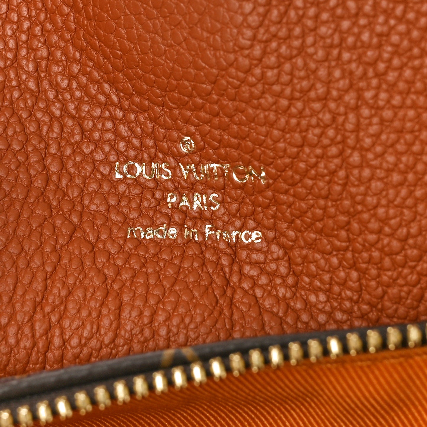 Monogram Manhattan NM Caramel