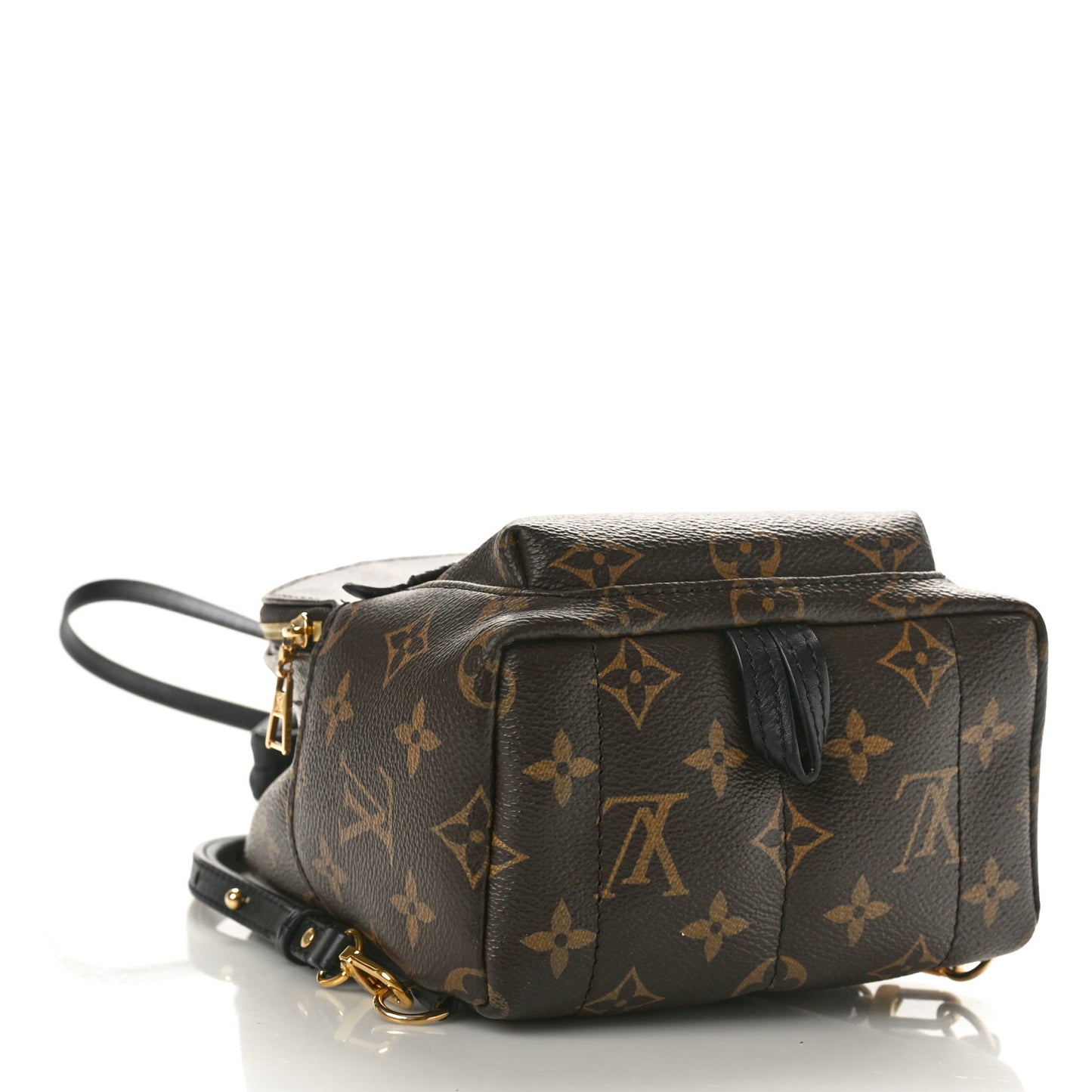 Monogram Palm Springs Backpack Mini