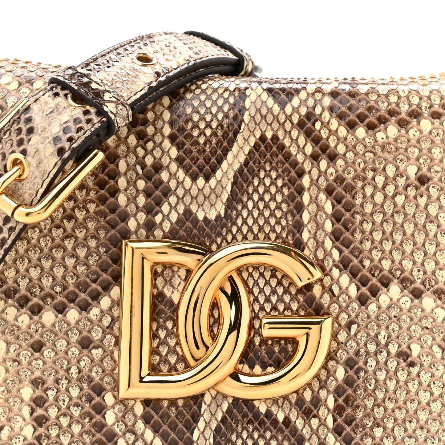 Snakeskin DG Millennials Crossbody Bag Multicolor