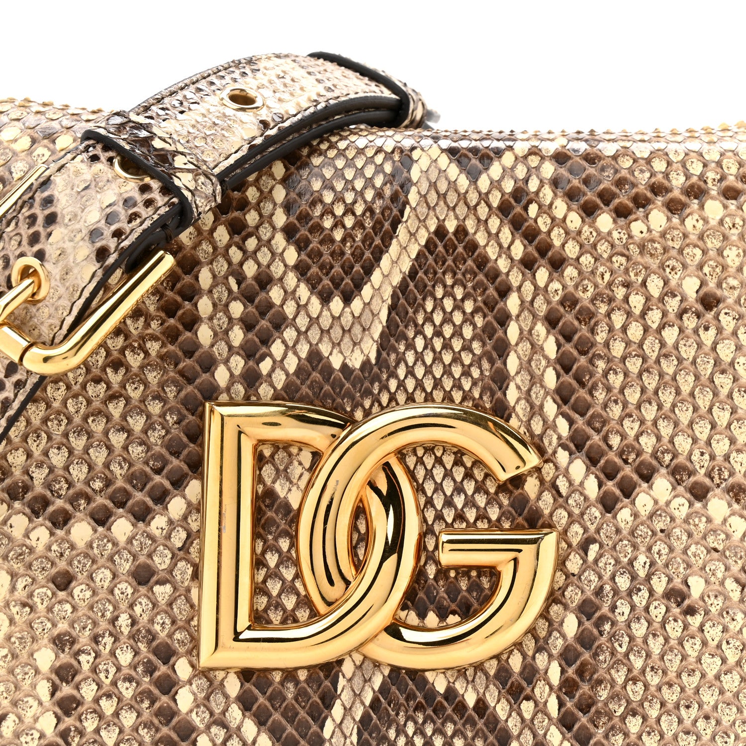 Dolce & Gabbana Snakeskin DG Millennials Crossbody Bag Multicolor 7 of 11