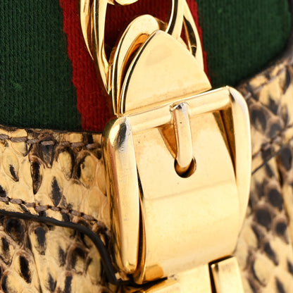 Gucci Snakeskin Mini Sylvie Chain Shoulder Bag Roccia 16 of 17