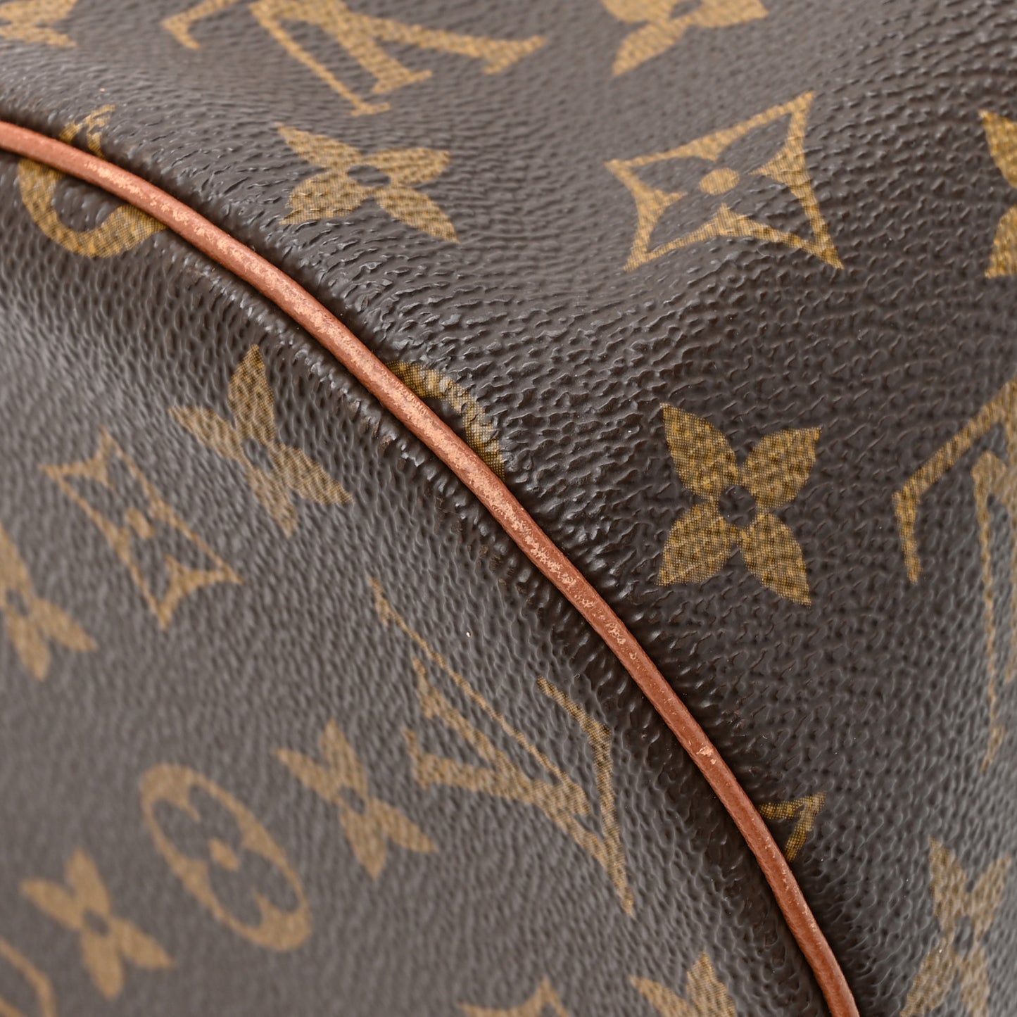 Monogram Papillon 30 with Companion