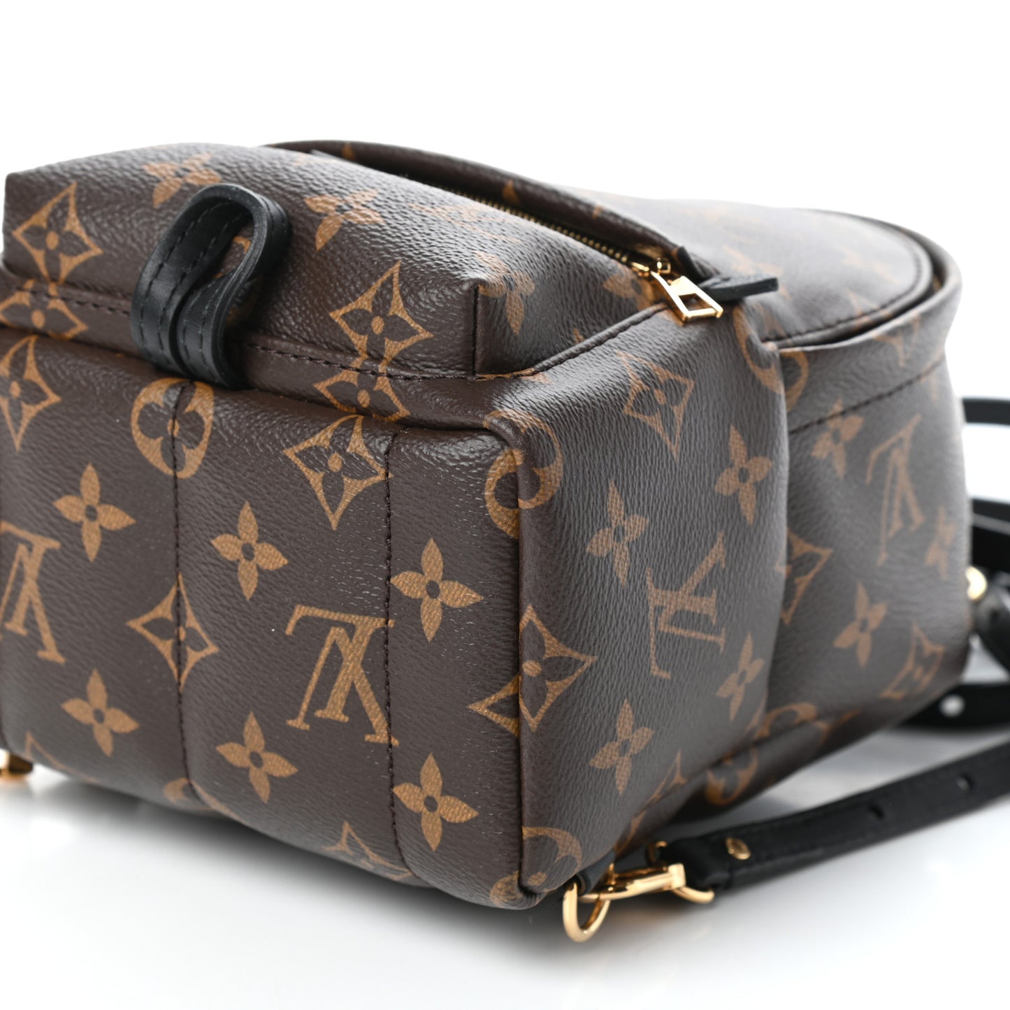 Monogram Palm Springs Backpack Mini