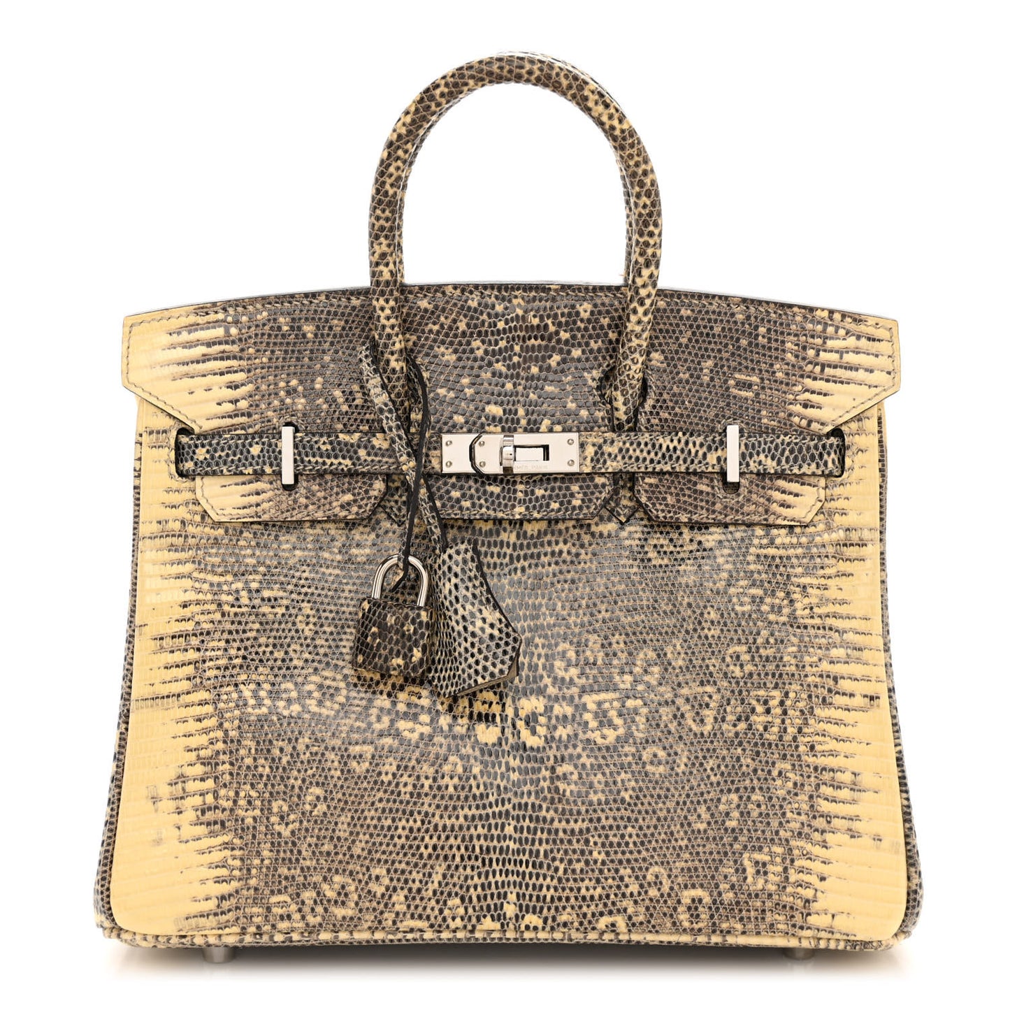 Lizard Birkin 25 Ombre
