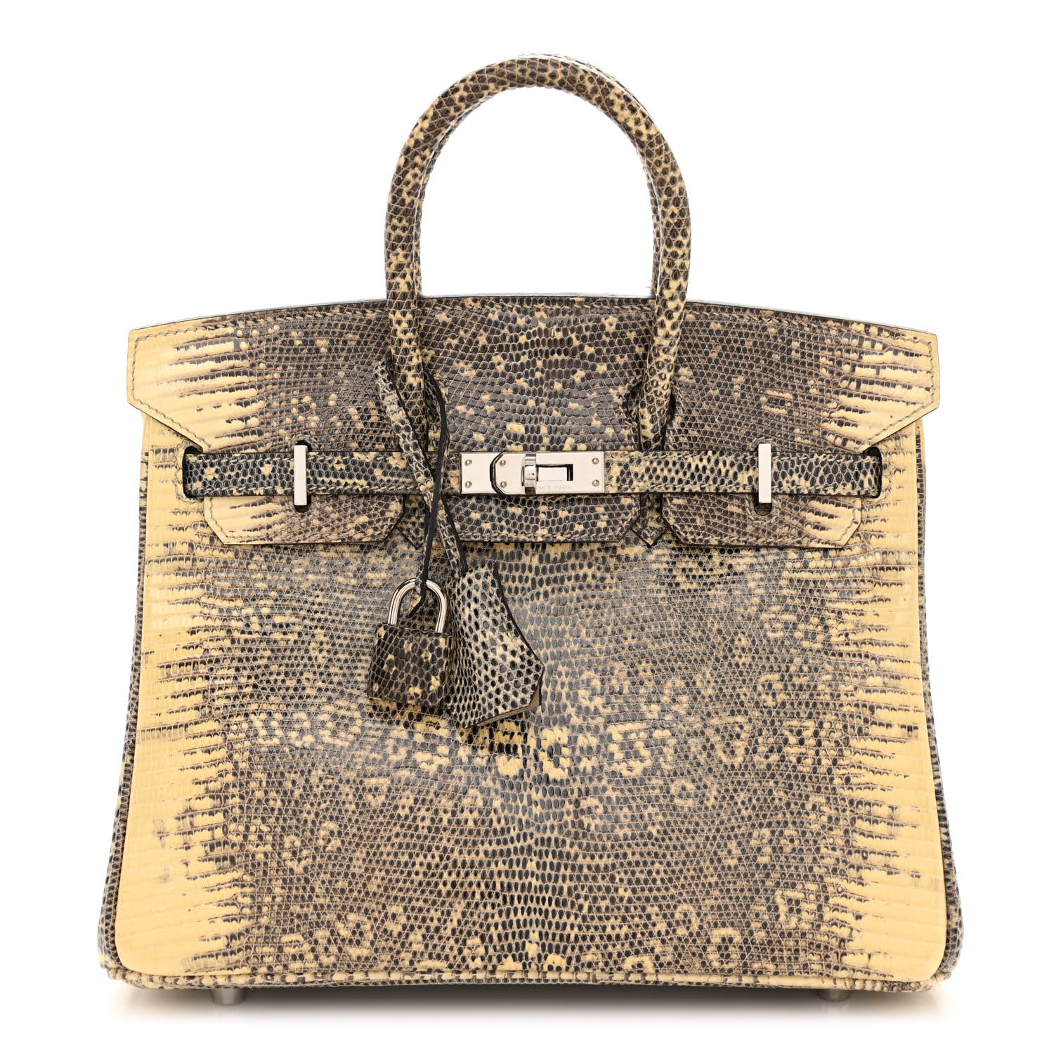 Hermes Lizard Birkin 25 Ombre 1 of 11