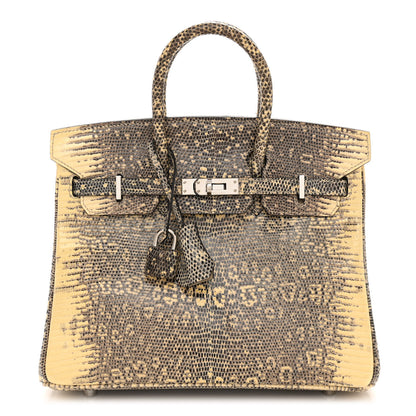 Hermes Lizard Birkin 25 Ombre 1 of 11