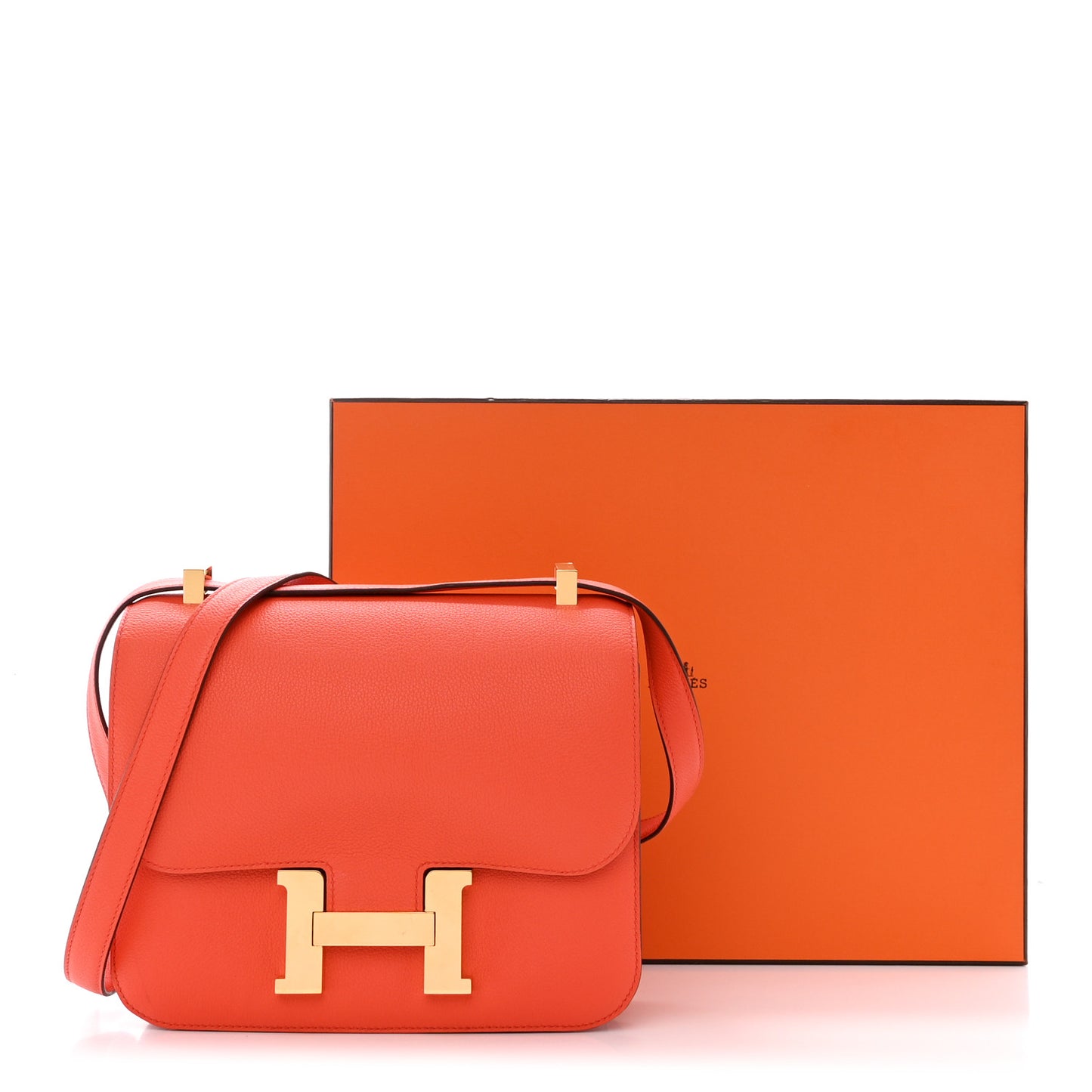 Evercolor Constance 24 Orange Poppy