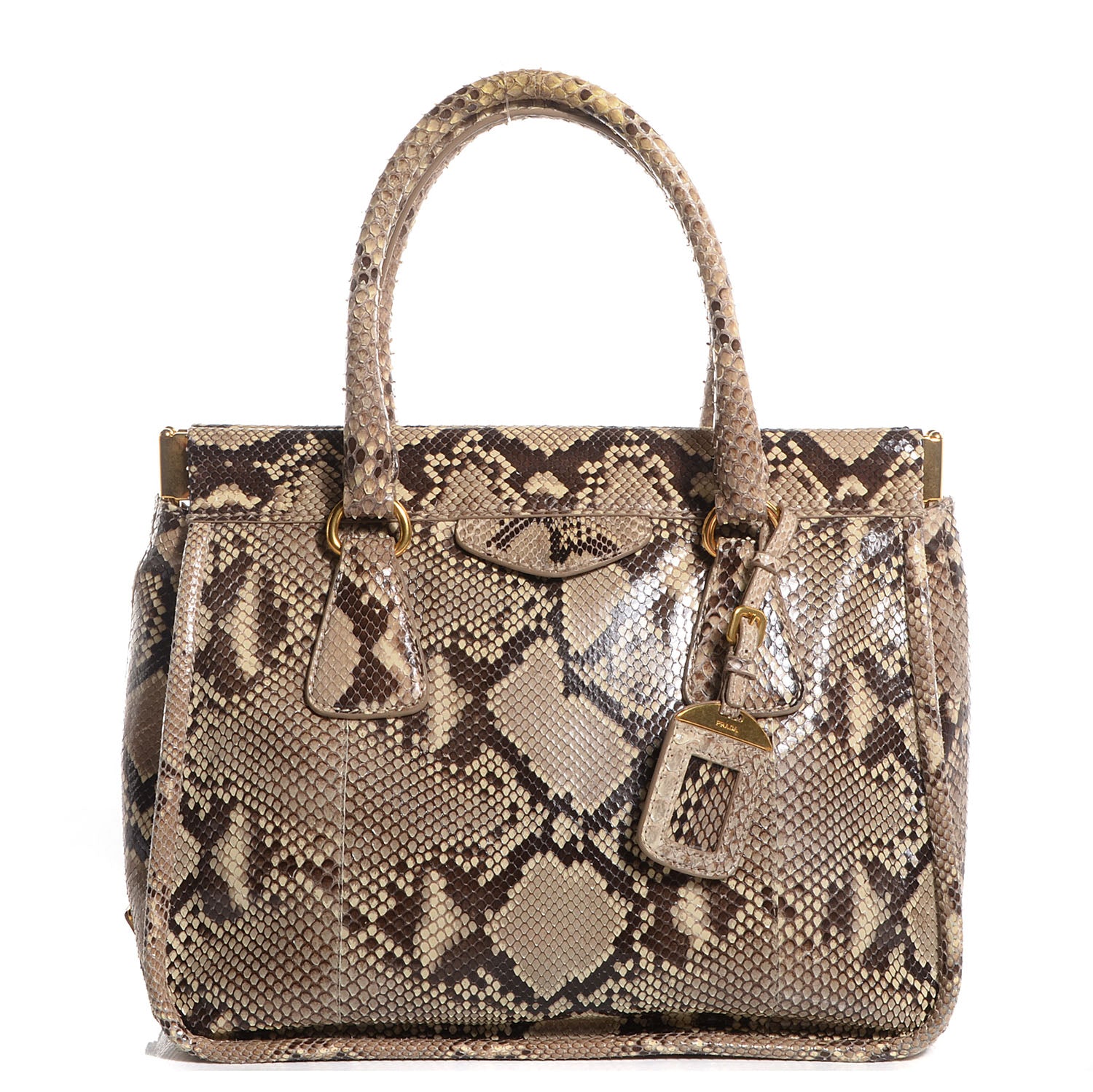 Prada Python Frame Bag Roccia 1 of 10
