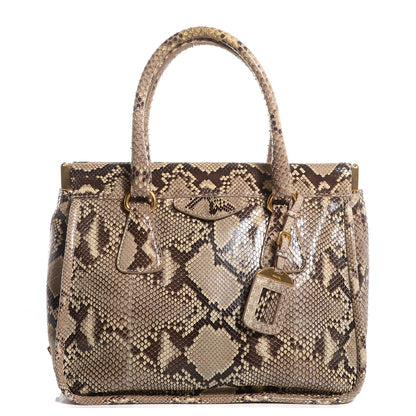 Prada Python Frame Bag Roccia 1 of 10