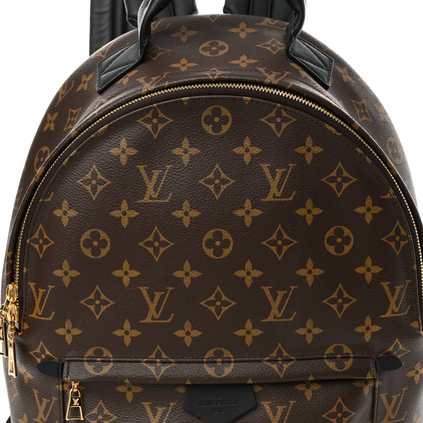 Monogram Palm Springs Backpack MM
