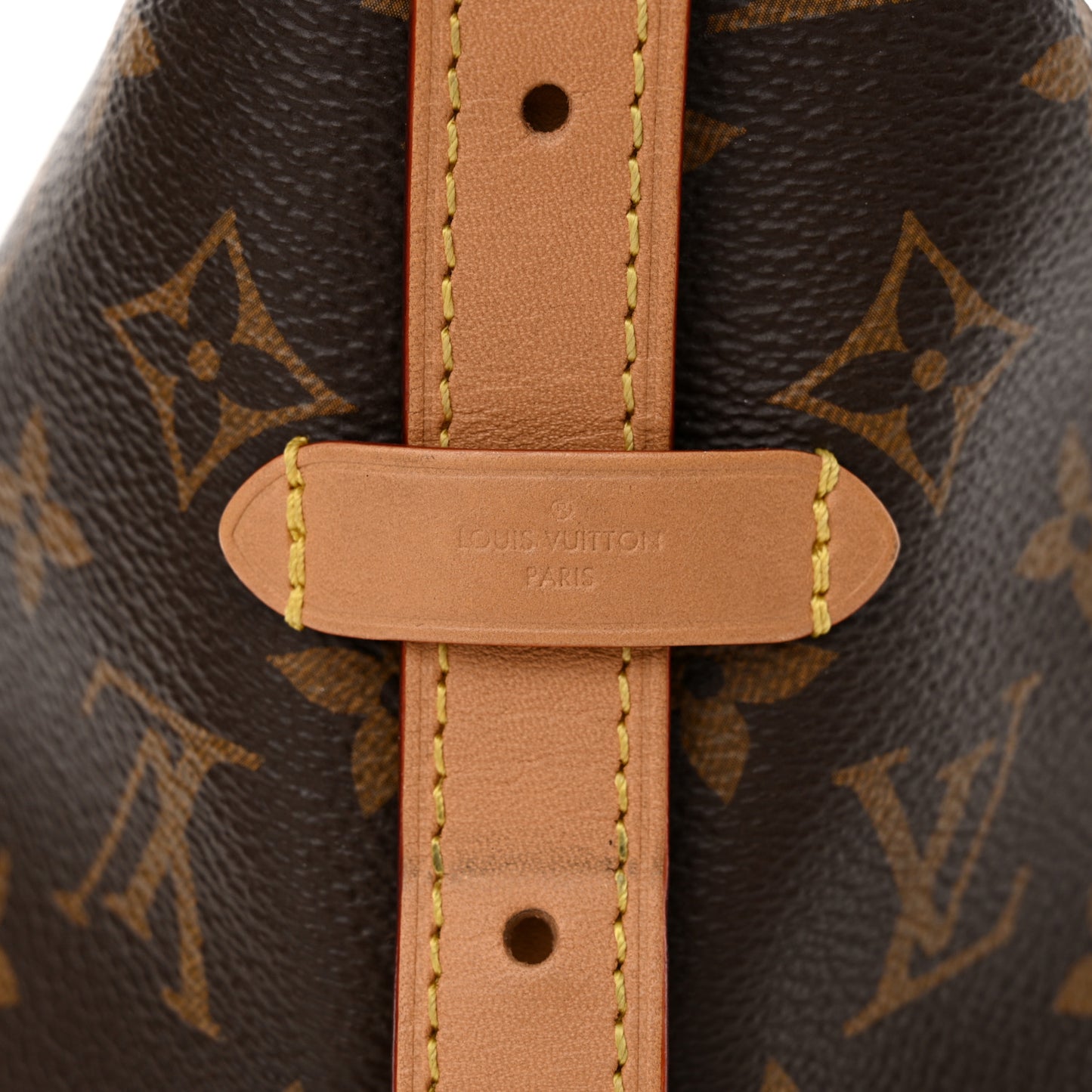 Monogram CarryAll PM