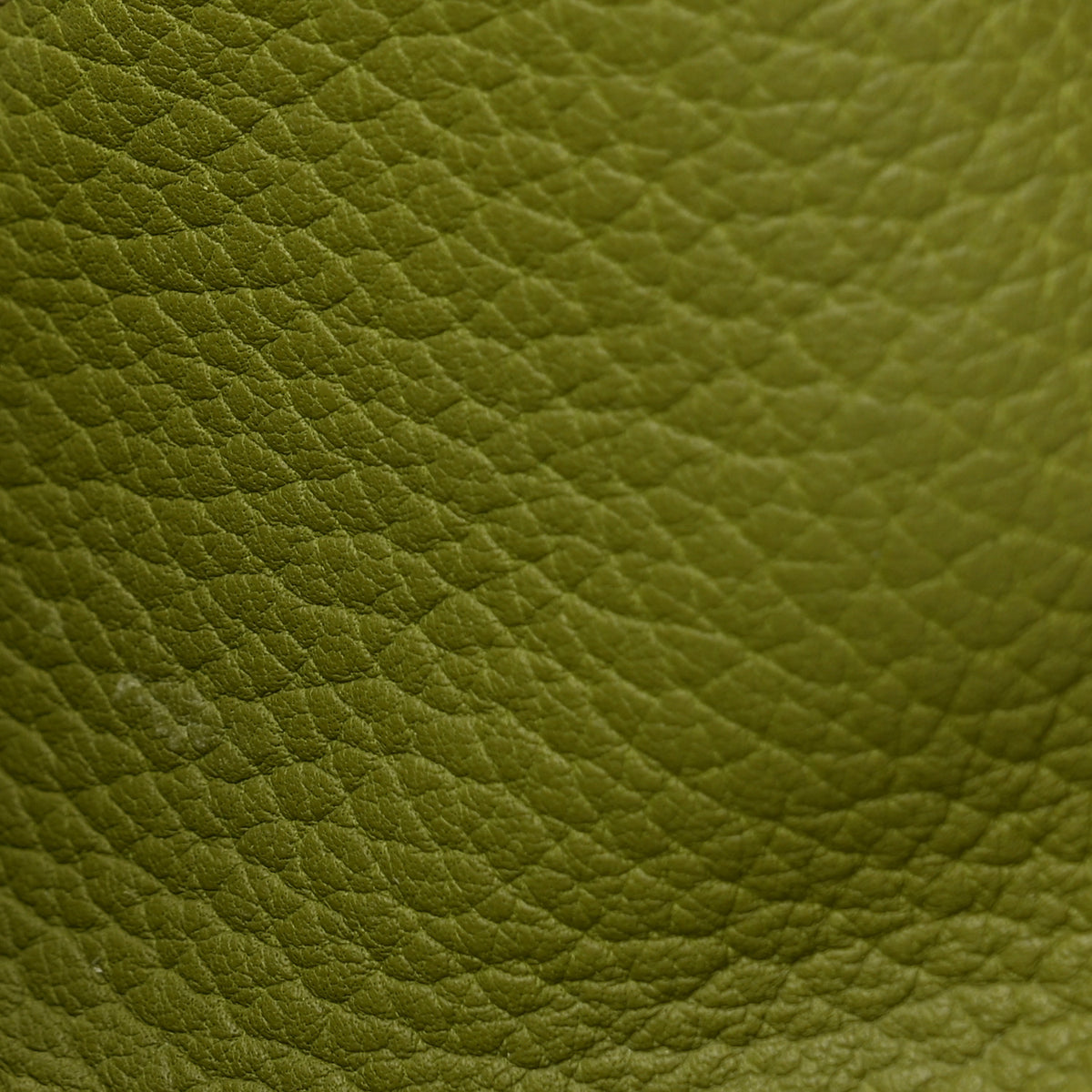 Loro Piana Odessa Mini Globe Shoulder Bag Green 13 of 13