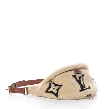 Louis Vuitton Monogram Teddy Bumbag 3 of 8