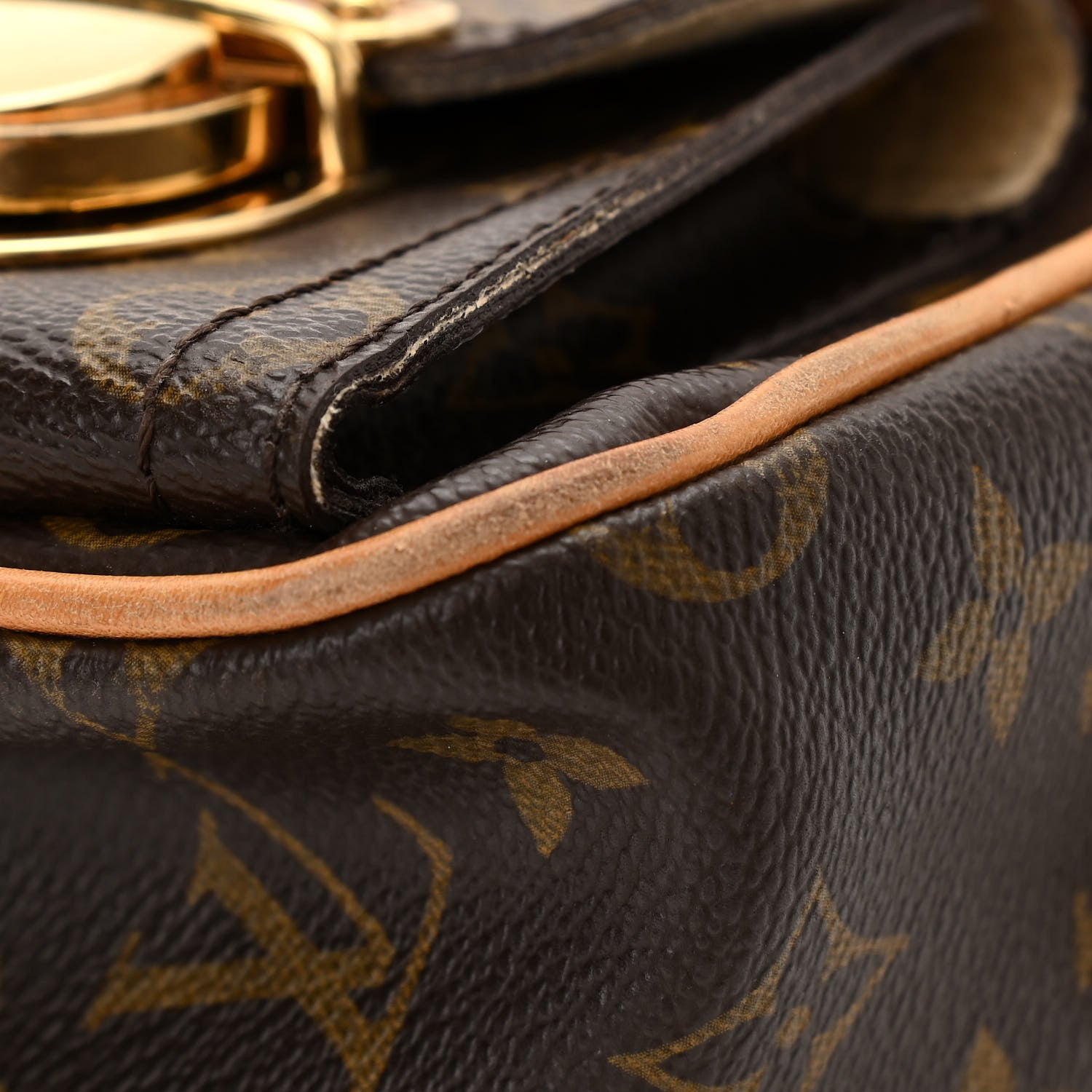 Louis Vuitton Monogram Hudson PM 15 of 16