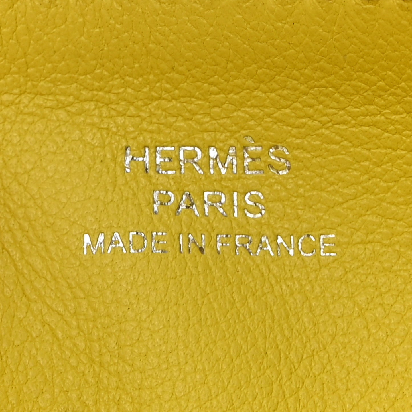 Swift Tigre Royal Bandana Carre Pocket Pouch Lime