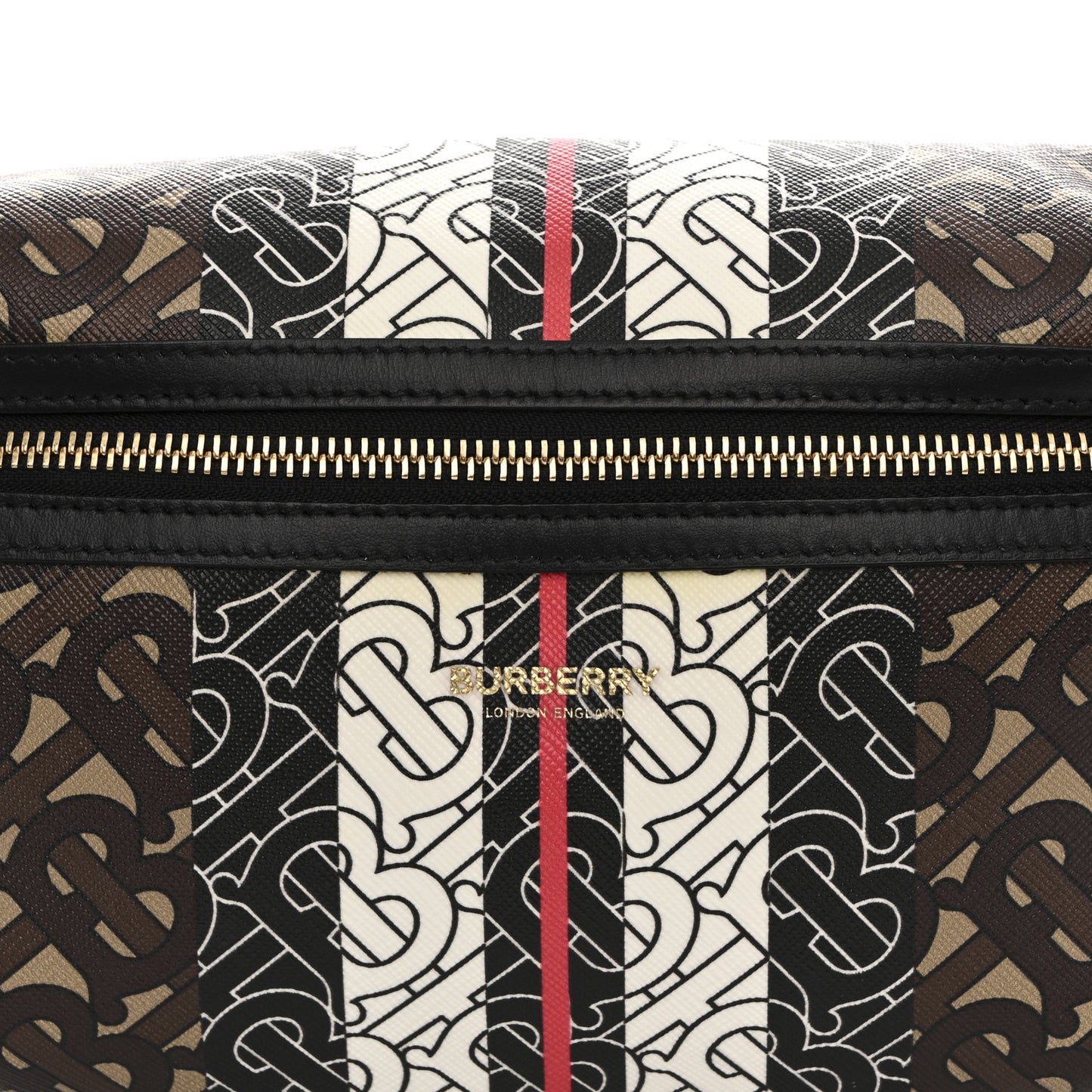 E-Canvas Monogram Stripe Medium Sonny Bum Bag Bridle Brown