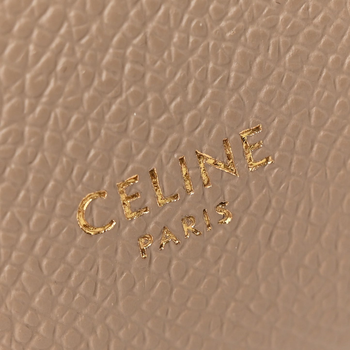 Grained Calfskin Pico Belt Bag Light Taupe
