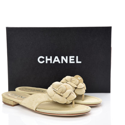 Chanel Suede Calfskin Camellia Thong Sandals 37.5 Beige 11 of 11