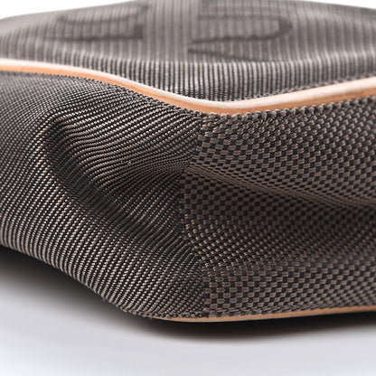 Louis Vuitton Damier Geant Citadin NM Terre 10 of 11