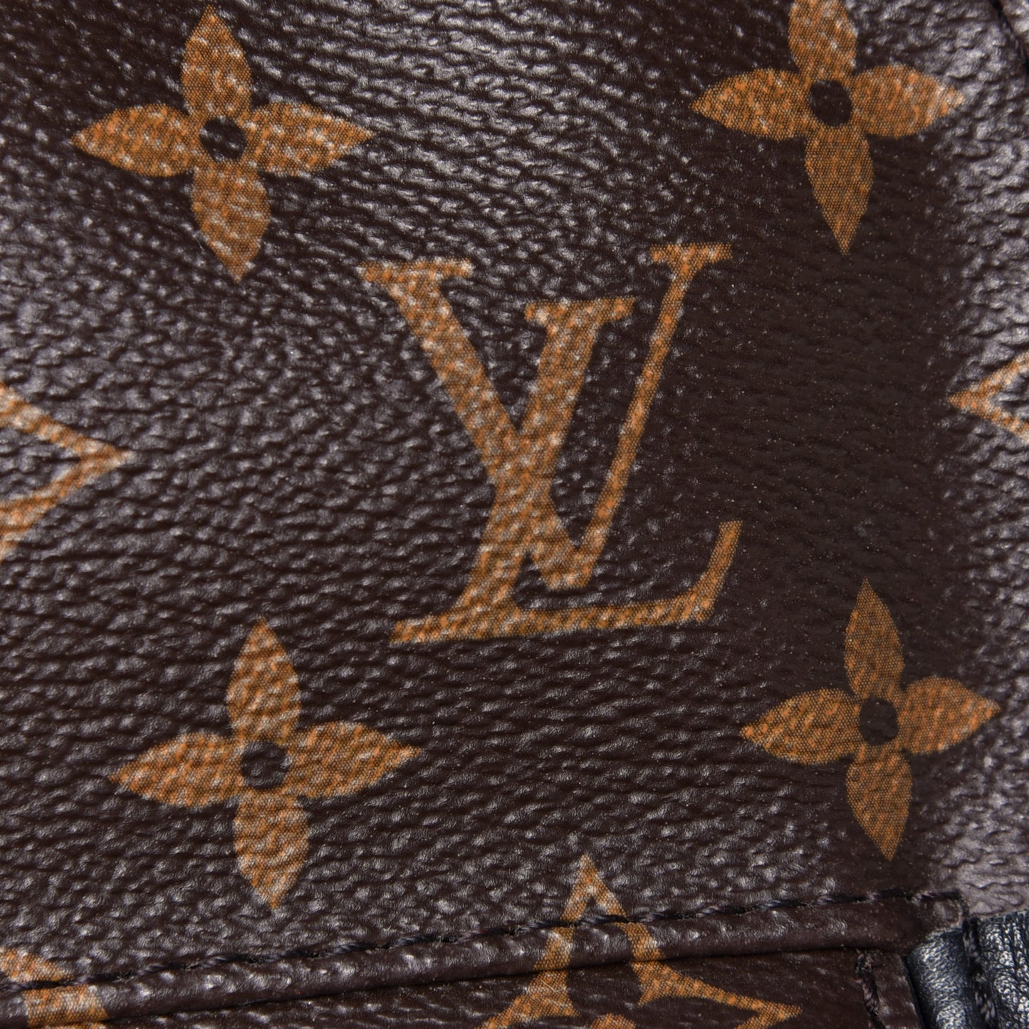 Monogram Palm Springs Backpack Mini