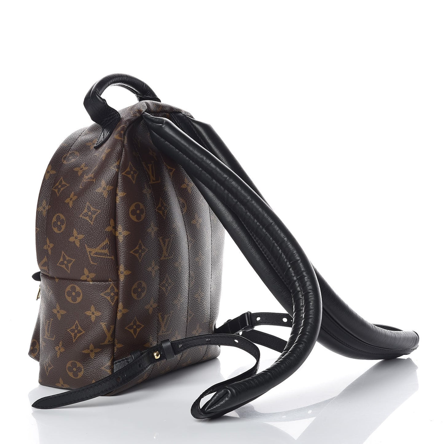 Monogram Palm Springs Backpack PM