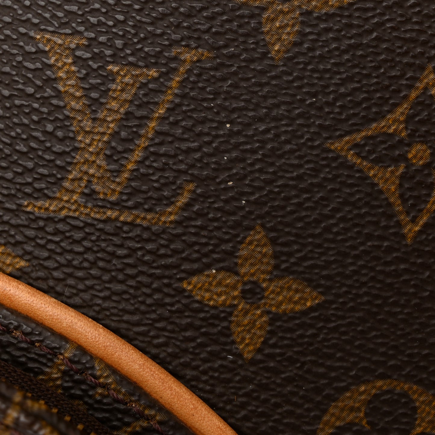 Monogram Ellipse GM Shopping Bag