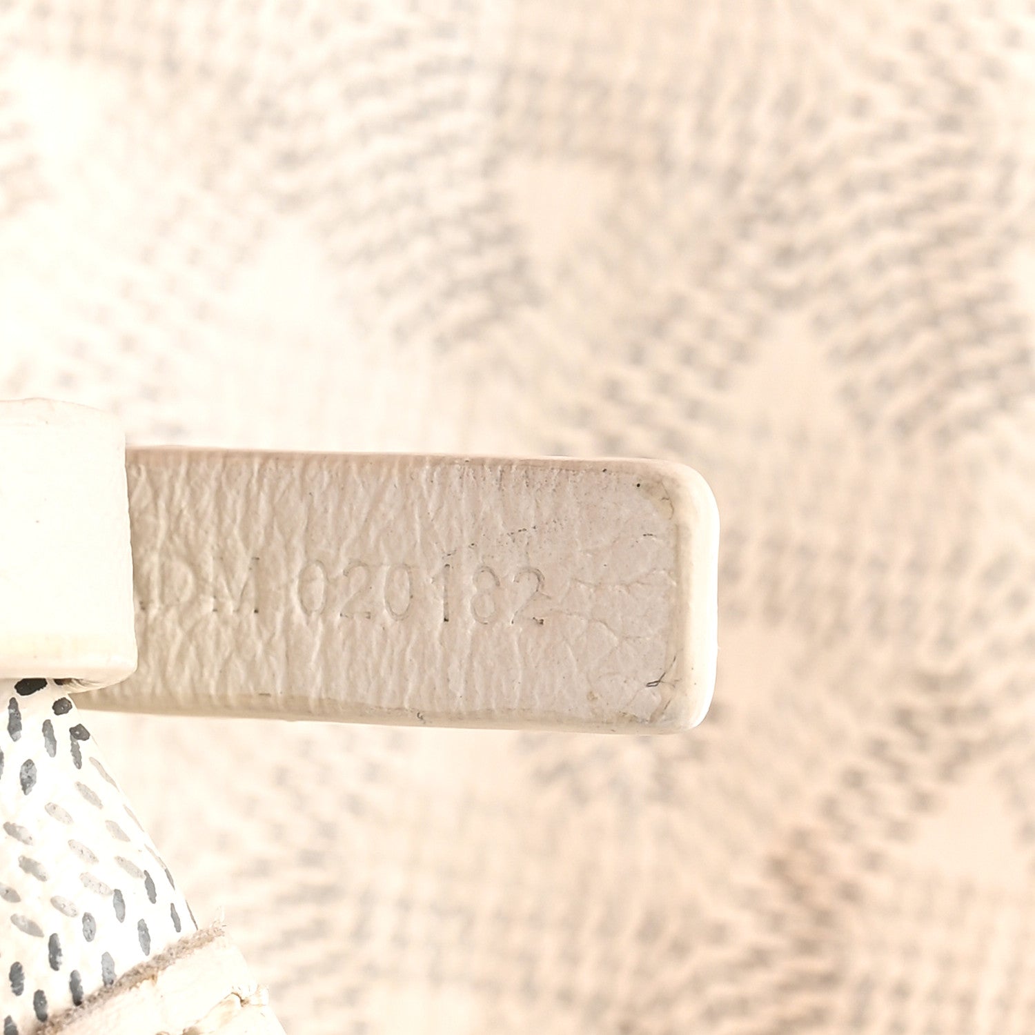 Goyard Goyardine Saint Louis PM White 8 of 14