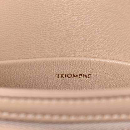 Celine Shiny Calfskin Teen Triomphe Nude 7 of 9