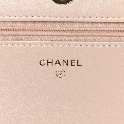 Chanel Iridescent Lambskin Quilted Pearl Wallet On Chain WOC Light Beige 5 of 12