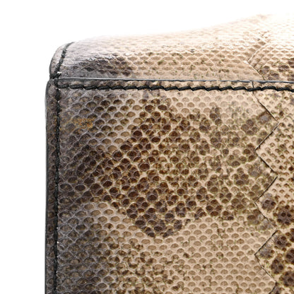 Bottega Veneta Watersnake Accordion Satchel 12 of 12