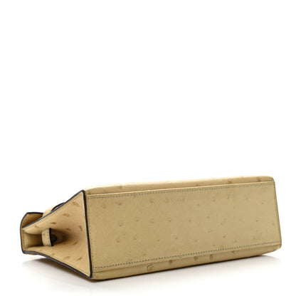 Hermes Ostrich Kelly Pochette Clutch Parchemin 4 of 12