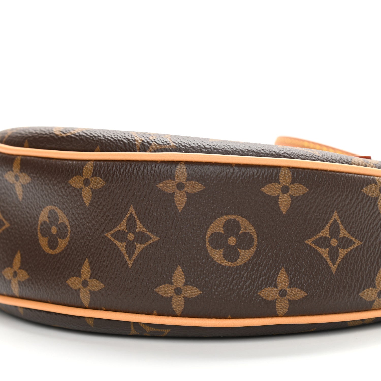 Louis Vuitton Monogram Loop 9 of 10