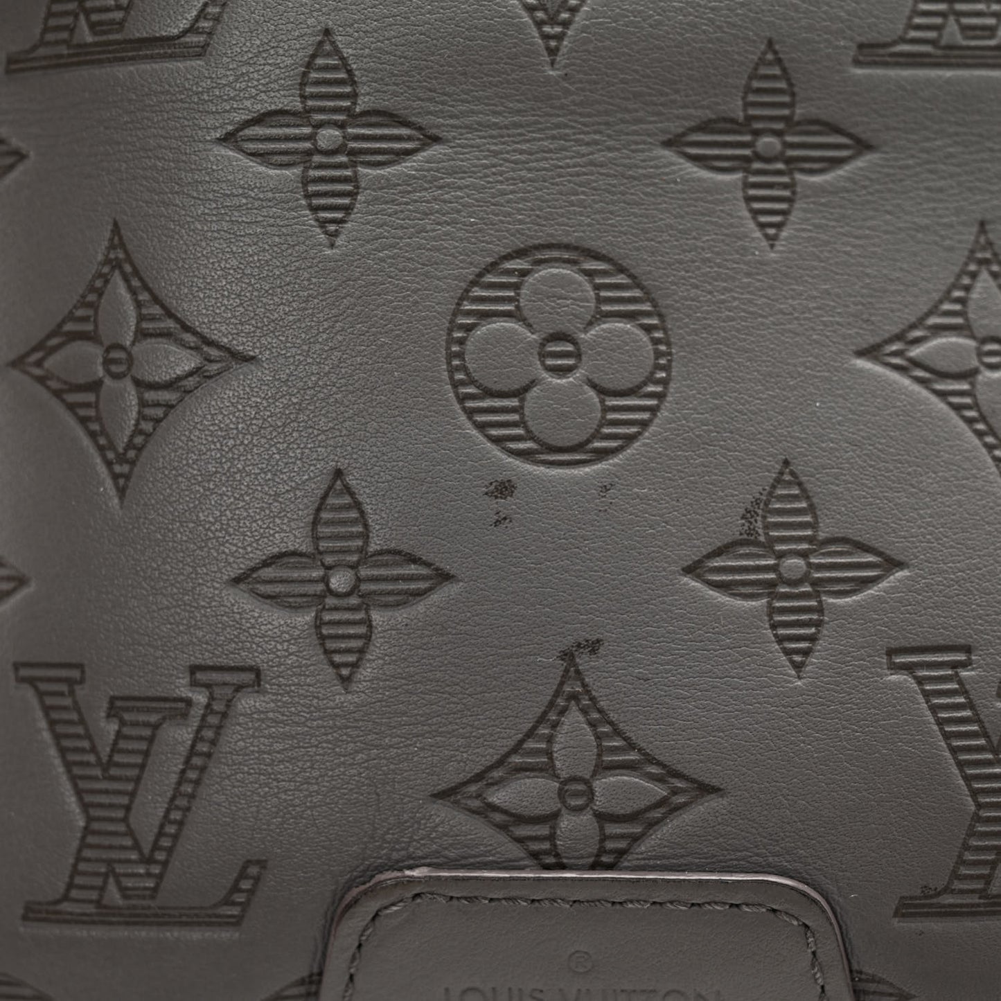 Calfskin Monogram Shadow Discovery Bumbag PM Gray