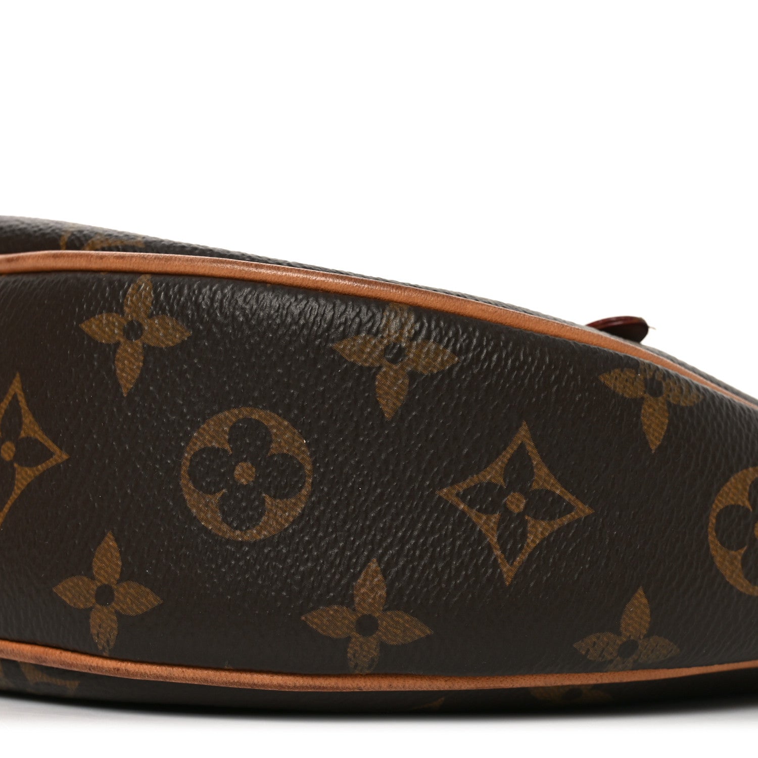 Louis Vuitton Monogram Loop 9 of 11