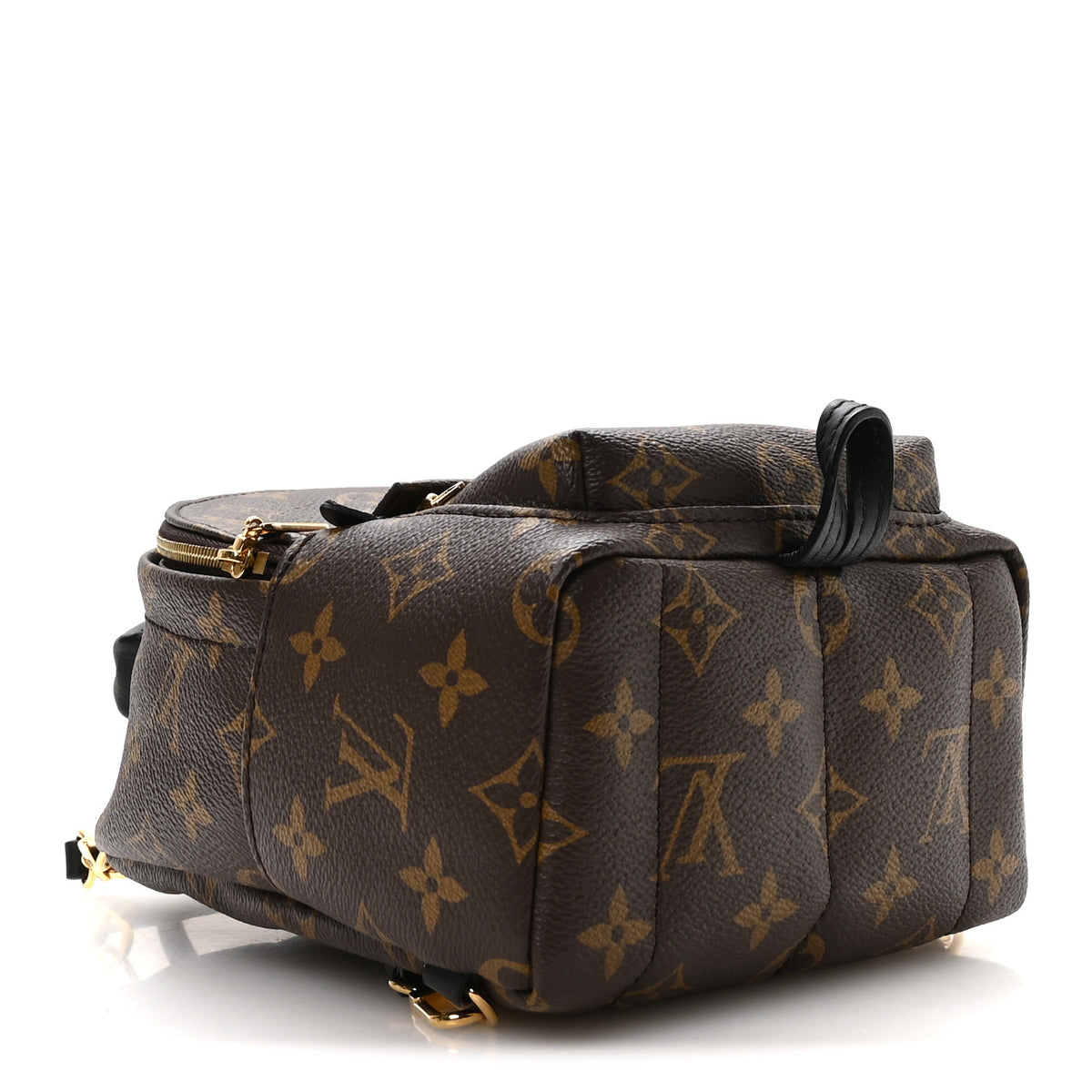 Monogram Palm Springs Backpack Mini