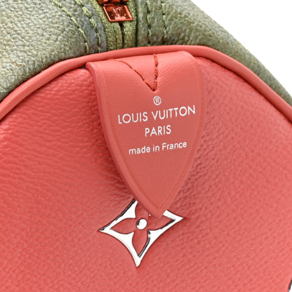 Louis Vuitton Masters Da Vinci Speedy 30 11 of 17
