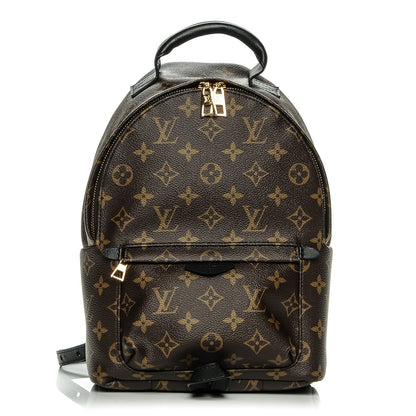Louis Vuitton Monogram Palm Springs Backpack PM 1 of 6