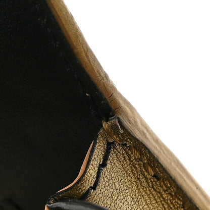 Delvaux Metallic Calfskin Ombre PM Madame Shoulder Bag Black Gold 12 of 14