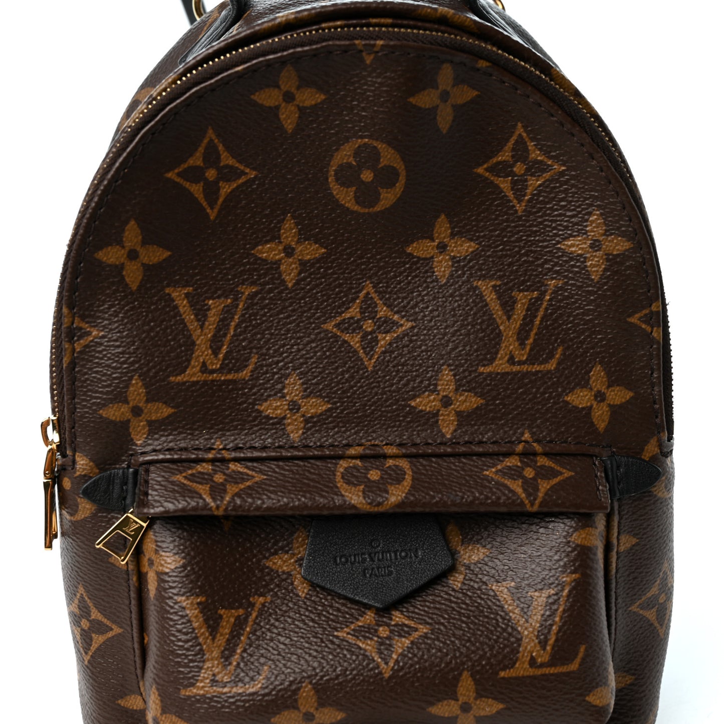 Monogram Palm Springs Backpack Mini