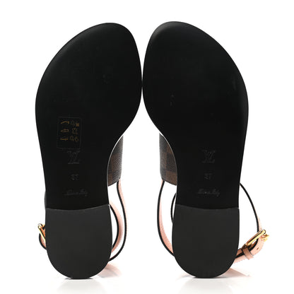 Louis Vuitton Calfskin Damier Ebene Passenger Flat Sandals 37 Venus Pink 5 of 9