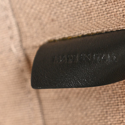 Celine Canvas Calfskin Triomphe Small Bucket Bag Vanilla Black 6 of 11