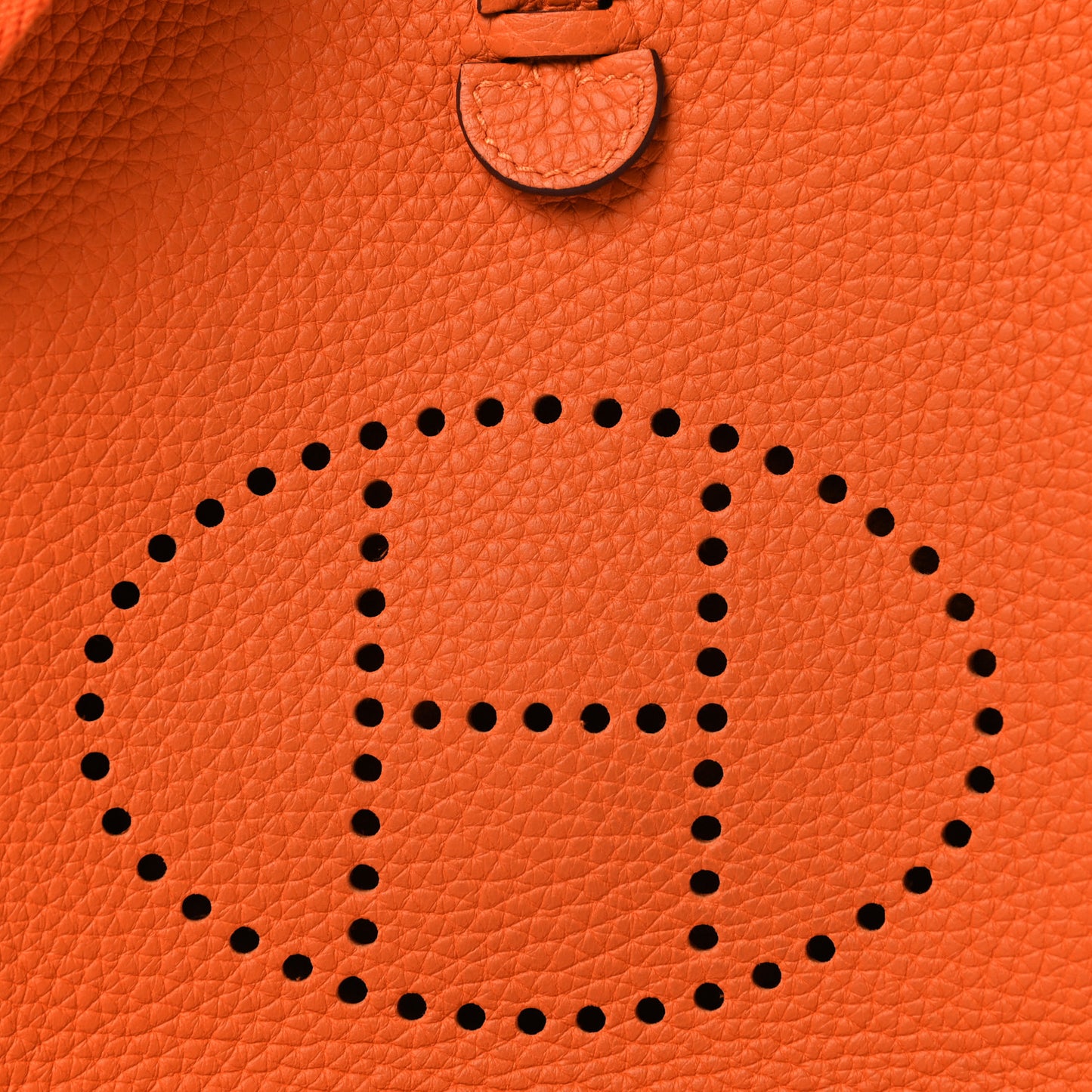 Taurillon Clemence Evelyne TPM Orange